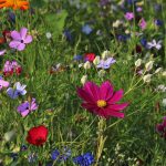 Come creare un’area relax nel tuo giardino con gli arredi esterni