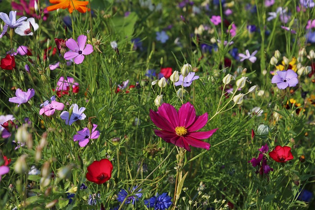 Come creare un'area relax nel tuo giardino con gli arredi esterni